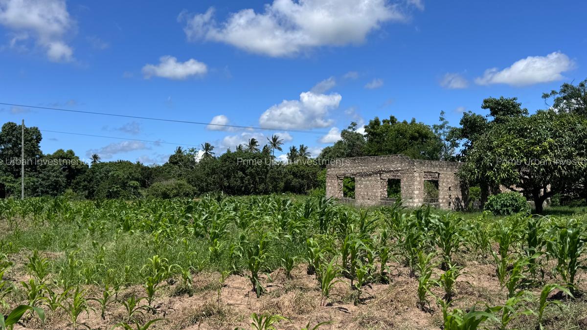 505 m² Land at Mavueni - 16