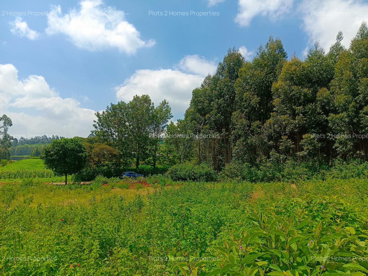 1,000 m² Residential Land at Jambu Tv - 14
