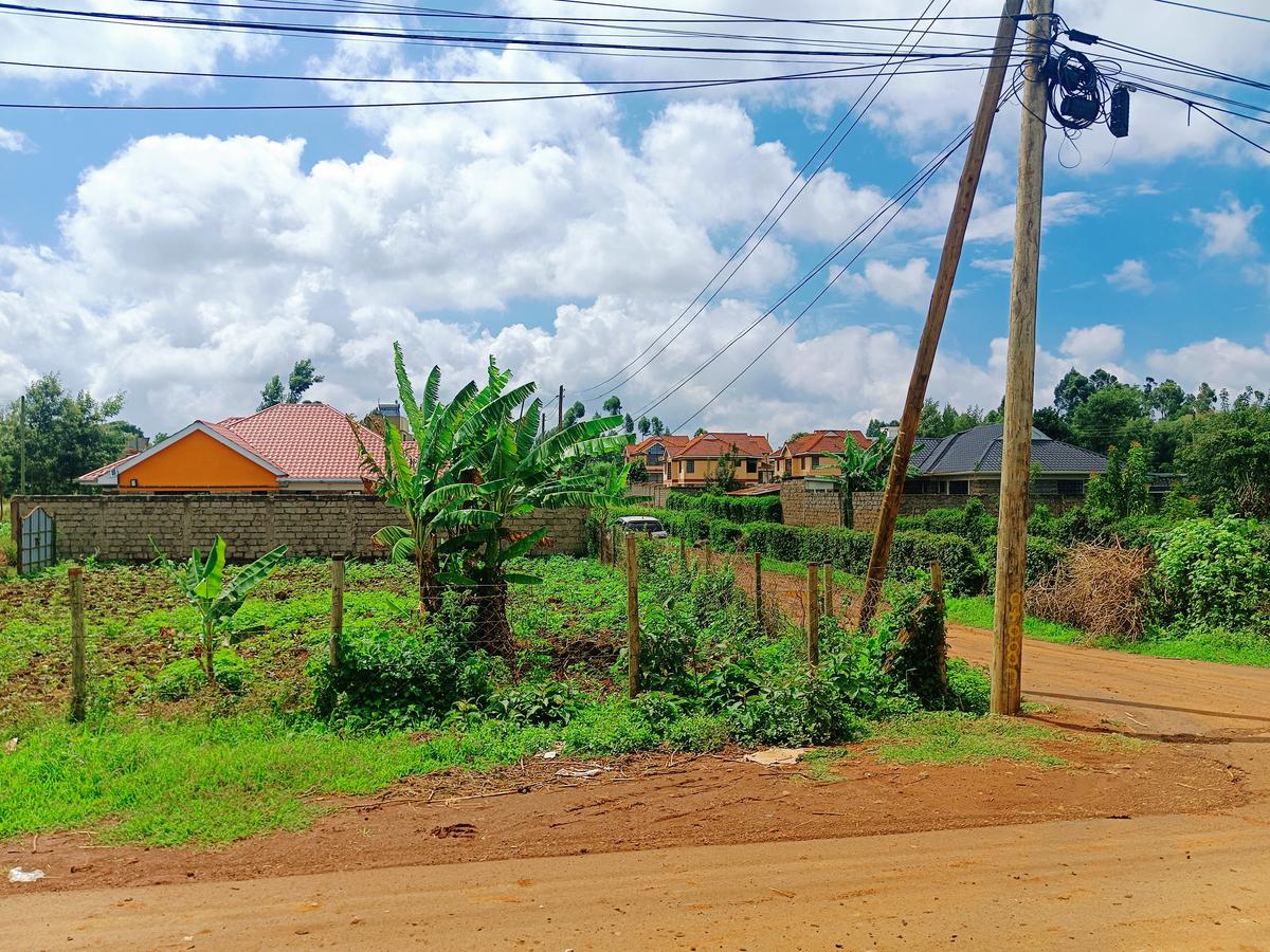 1,000 m² Residential Land at Riu-Nderi - 9