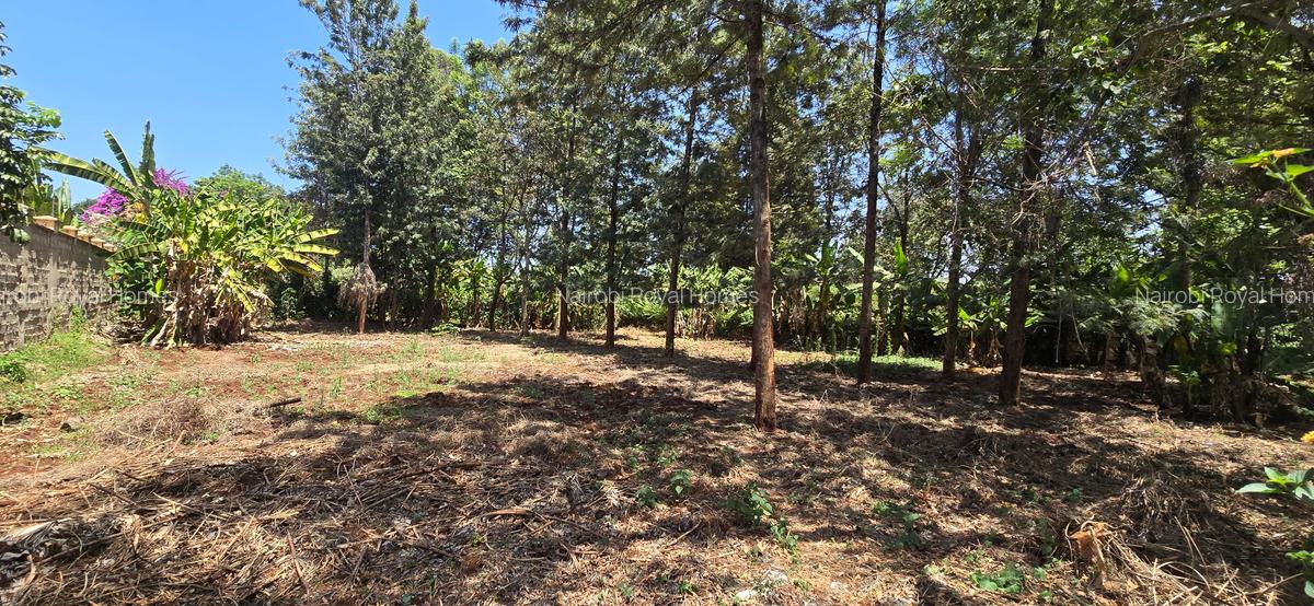 Residential Land at New Kitisuru - 3