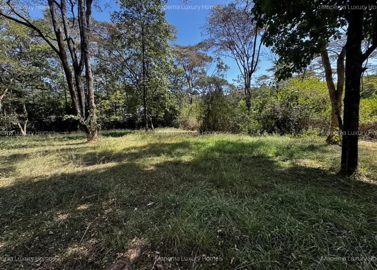 2.6 ac Residential Land at Windy Ridge - 1