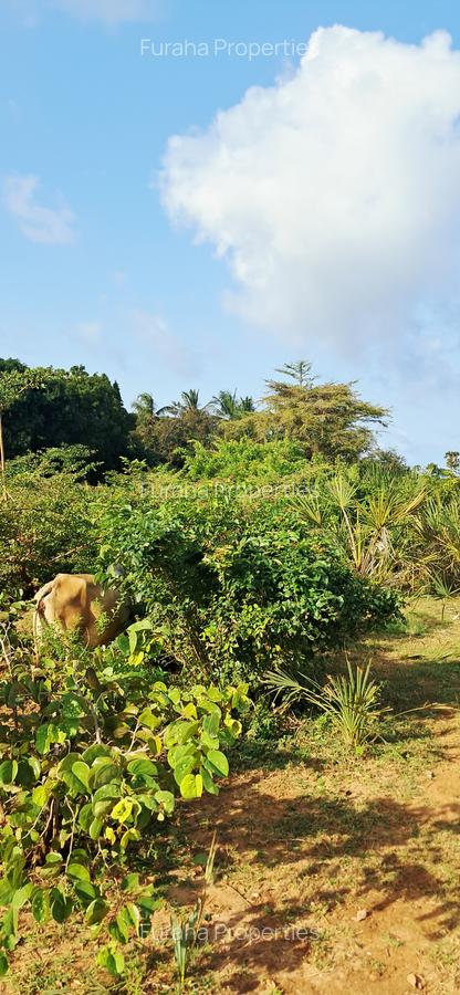Land at Tiwi Near Diani South Coast - 7
