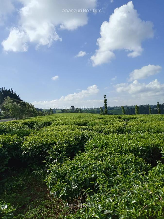 67 ac Land at Ndumberi-Ngorongo Road - 7