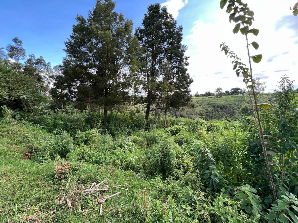 Land in Tigoni - 5