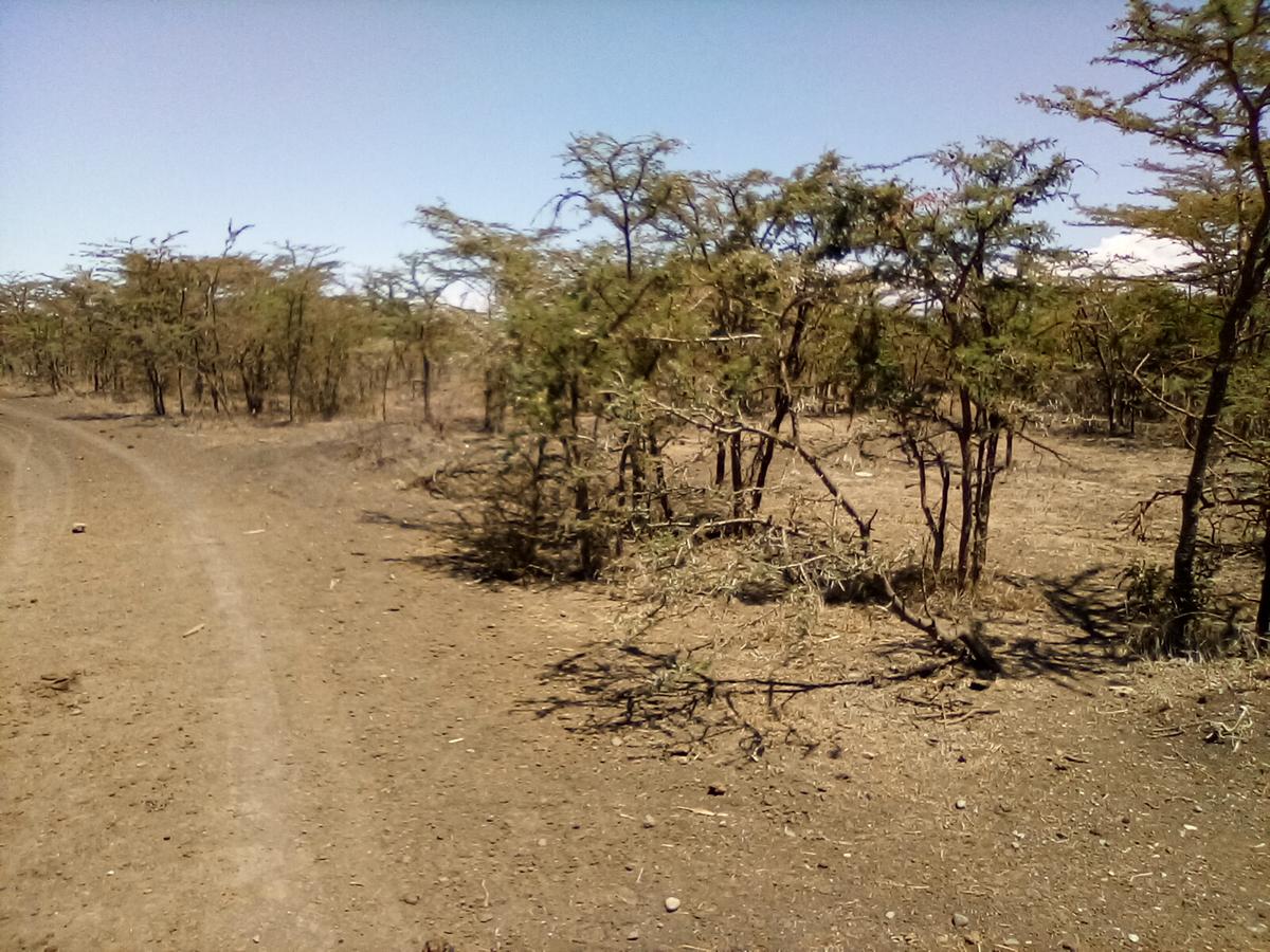 Land at Nanyuki - 9