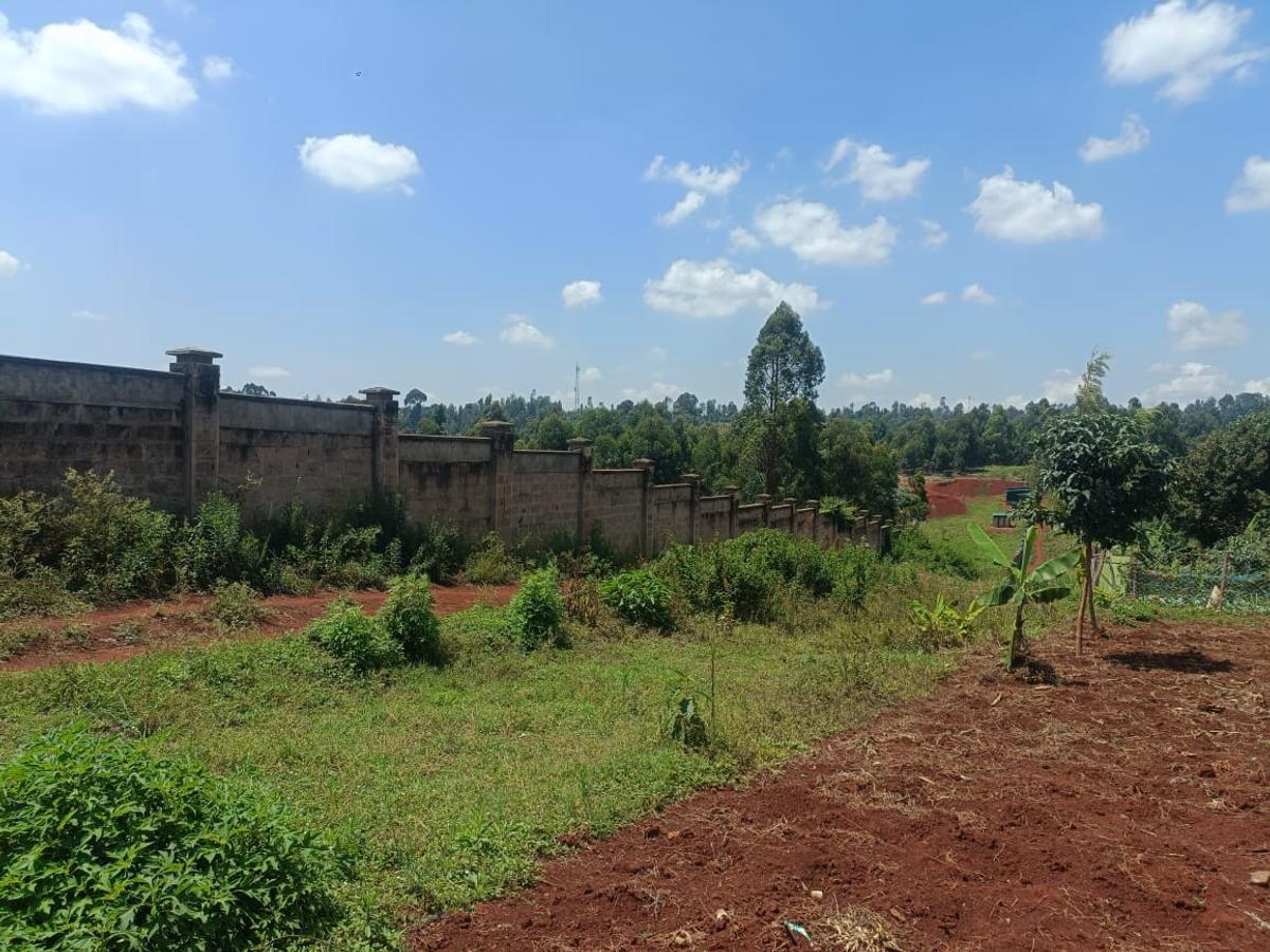 0.05 ha Land at Kiambu Ndumberi Ngemwa - 7