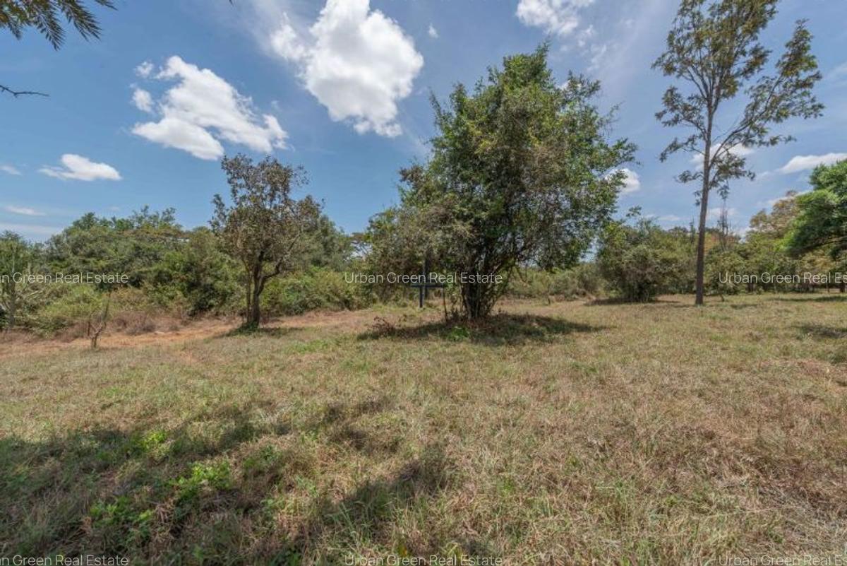 0.5 ac Land in Karen Hardy - 1