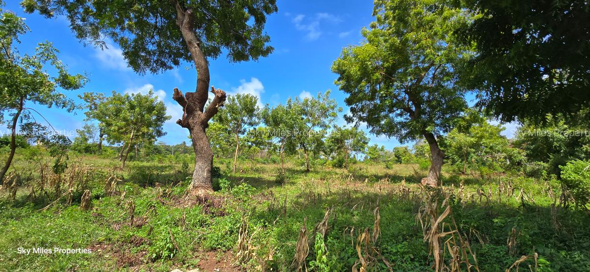 7 ac Land at Kikambala - 9