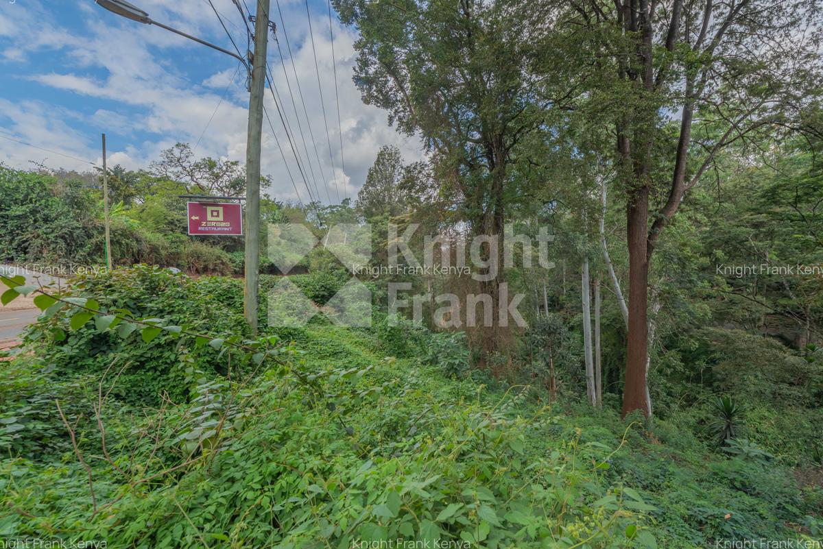 0.49 ac Land at Kitisuru Road - 3