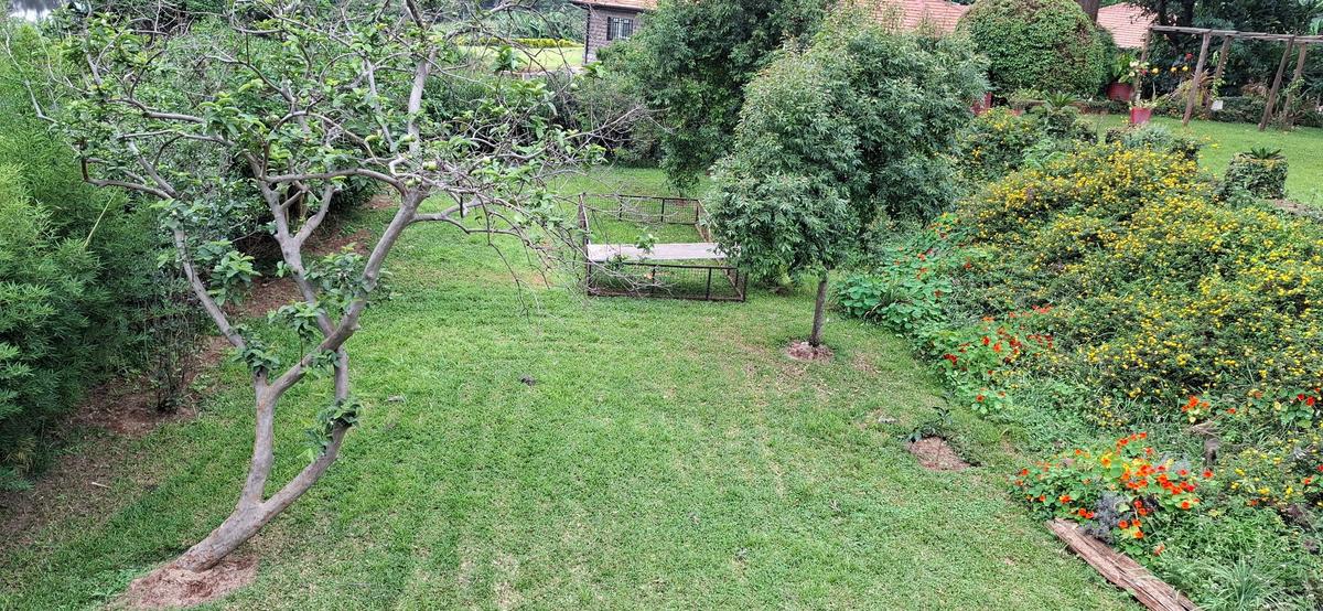 1 Bed House with En Suite in Ridgeways - 6