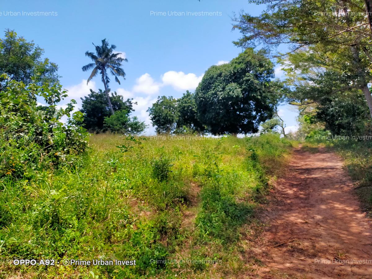 Land in Mtwapa - 6
