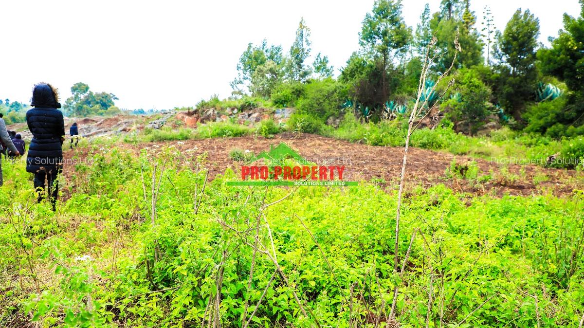 0.05 ha Residential Land at Lusigetti - 7