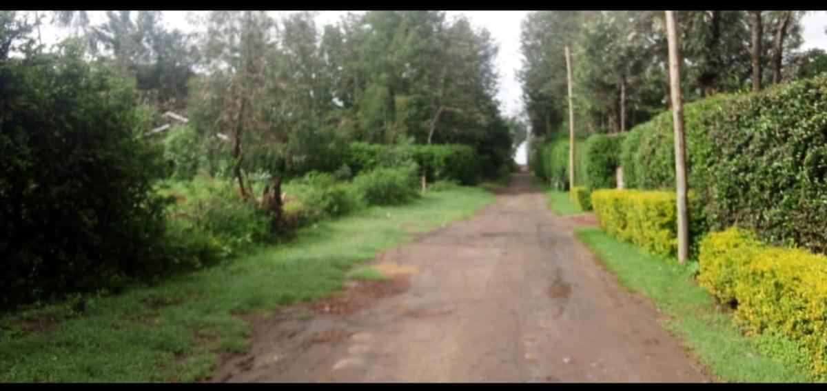 Land in Nanyuki - 2