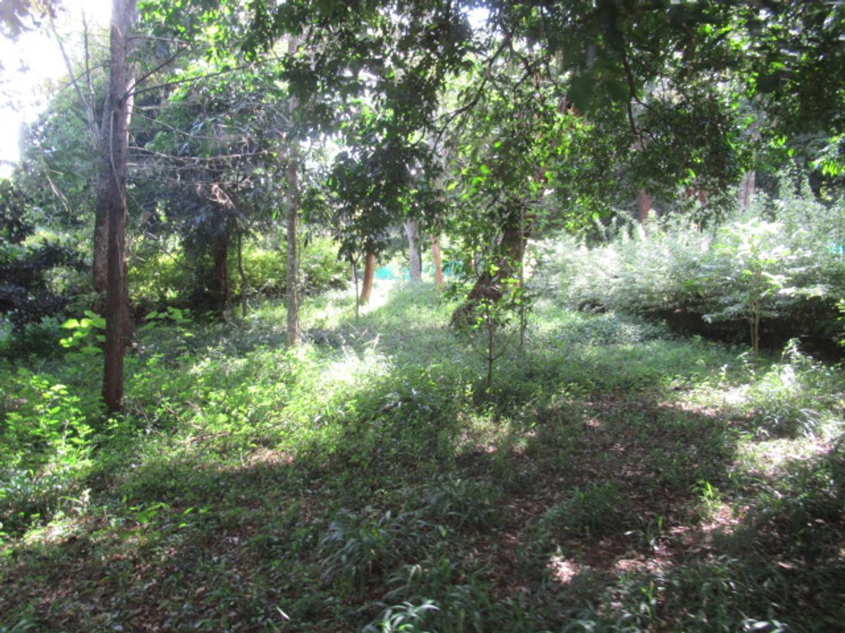 Residential Land at Mwitu Estate - 10