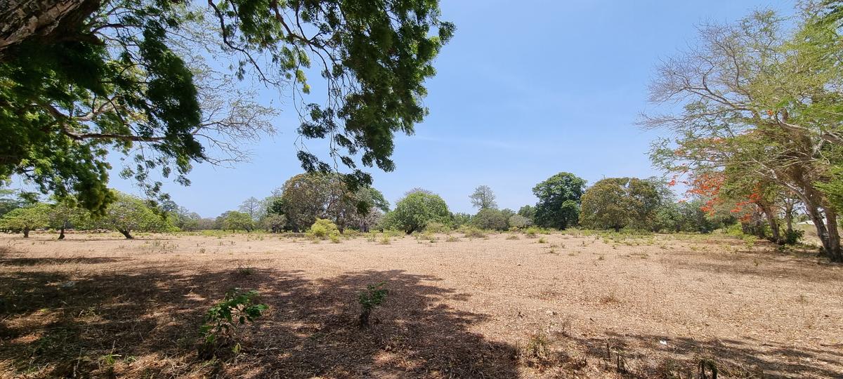 75 ac Land at Vipingo - 6