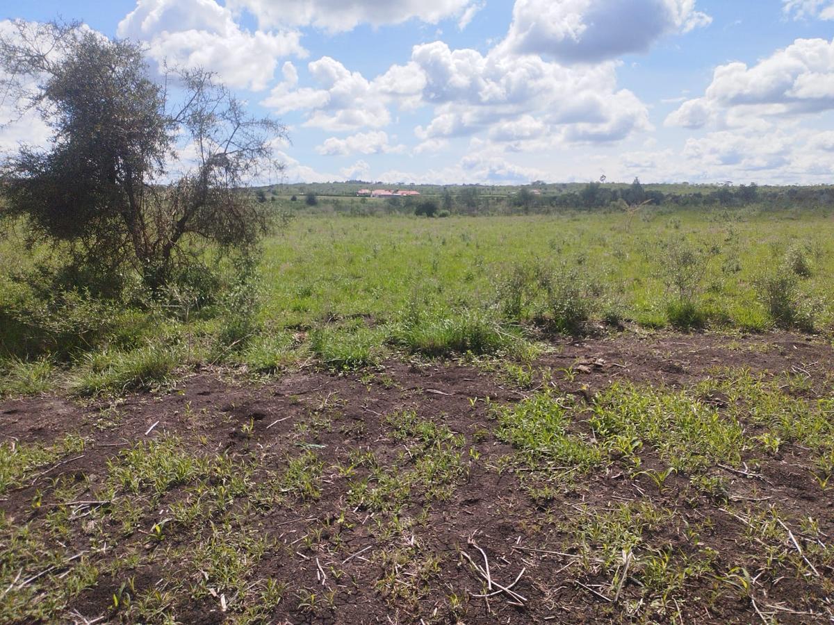 10 ac Land in Kiserian - 6