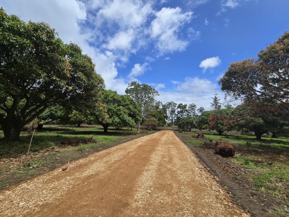 Land at Mombasa Malindi Highway - 1