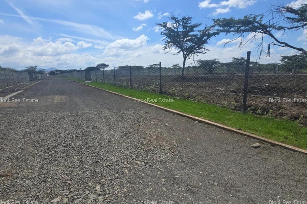 0.25 ac Residential Land in Nanyuki - 3