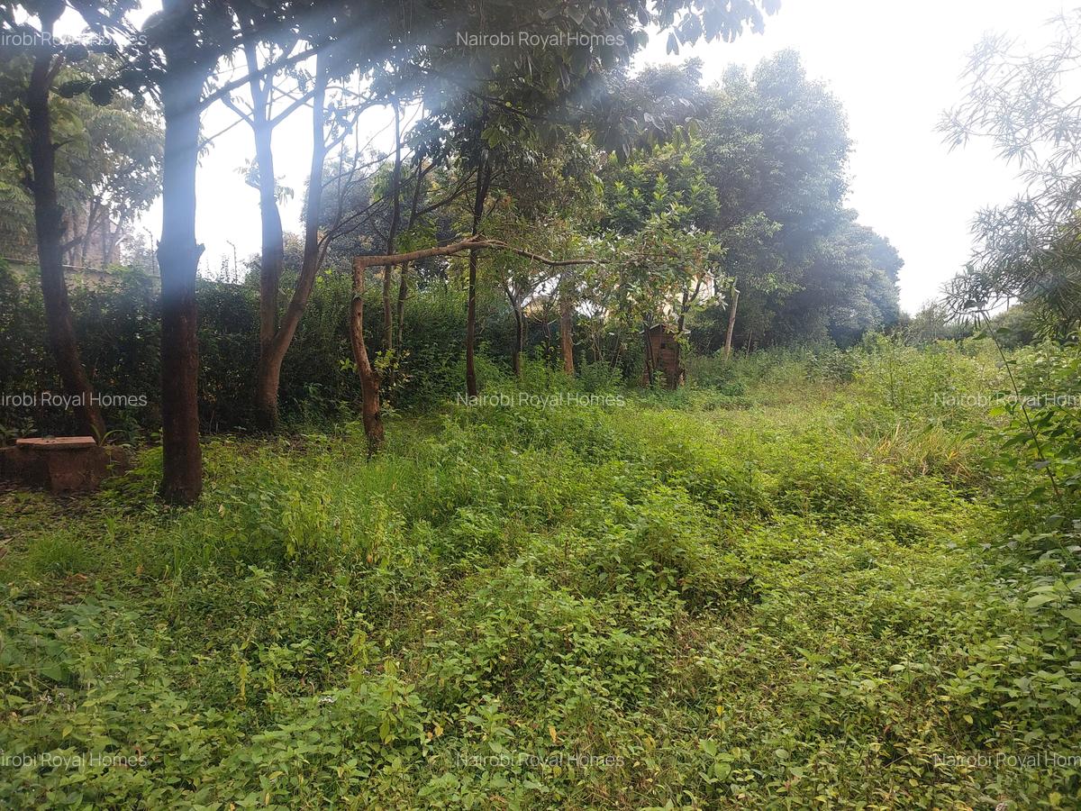 Commercial Land at Redhill Road - 14