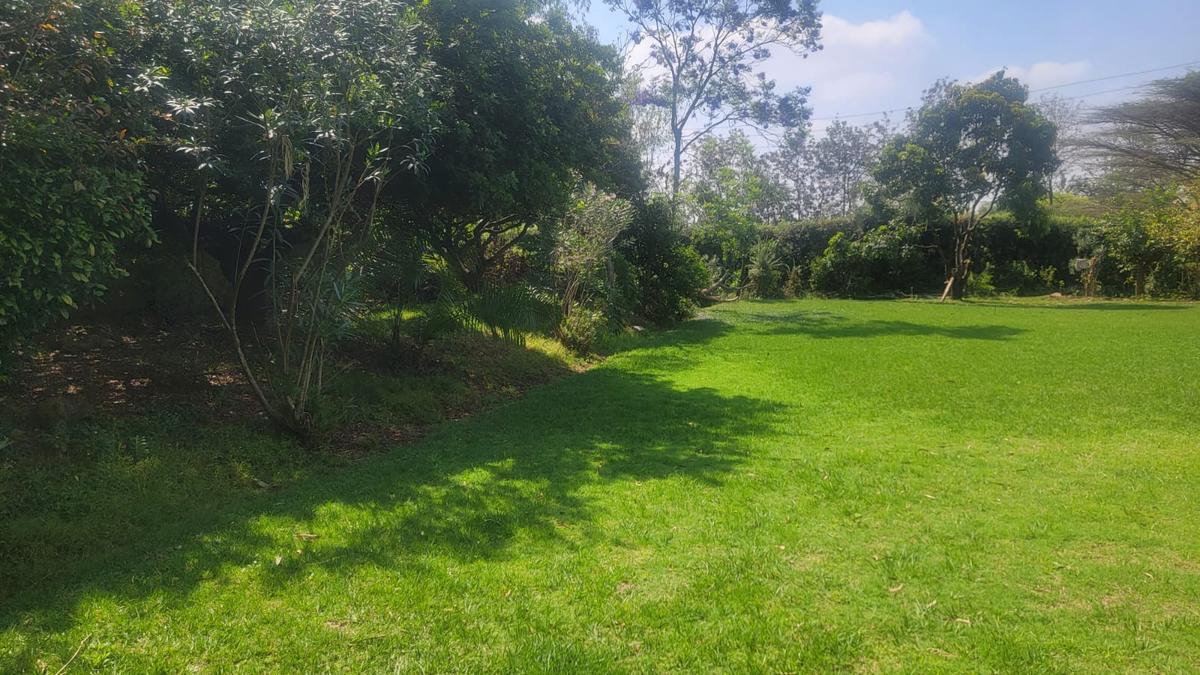 Residential Land in Garden Estate - 2