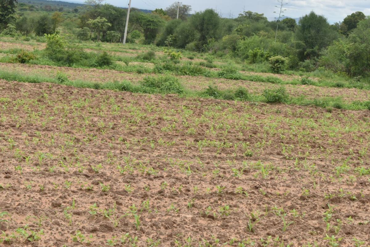 0.05 ha Land at Tumaini Estate - 3