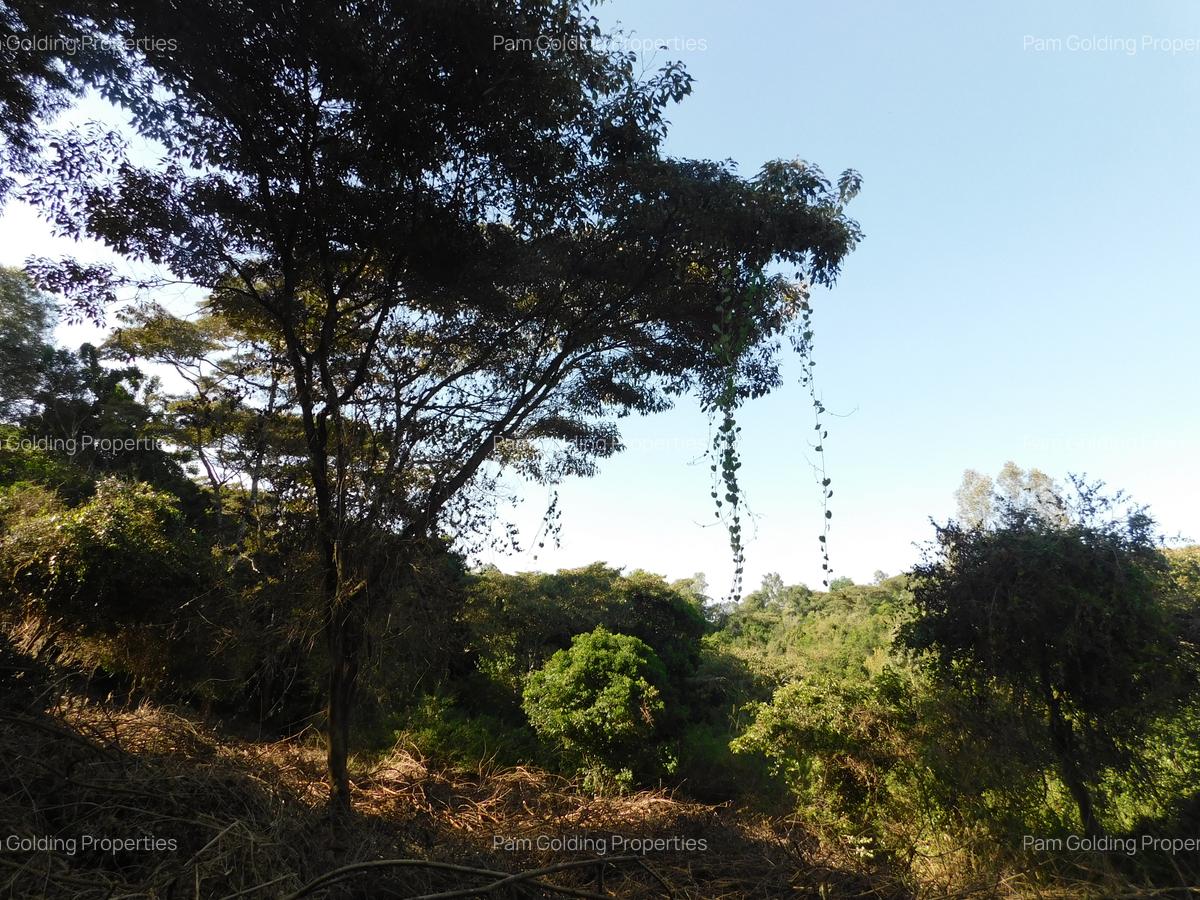 Residential Land at Karen - 3