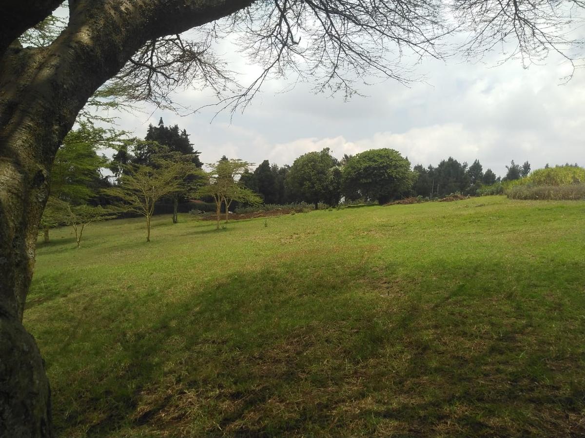 0.25 ac Land in Ngong - 3