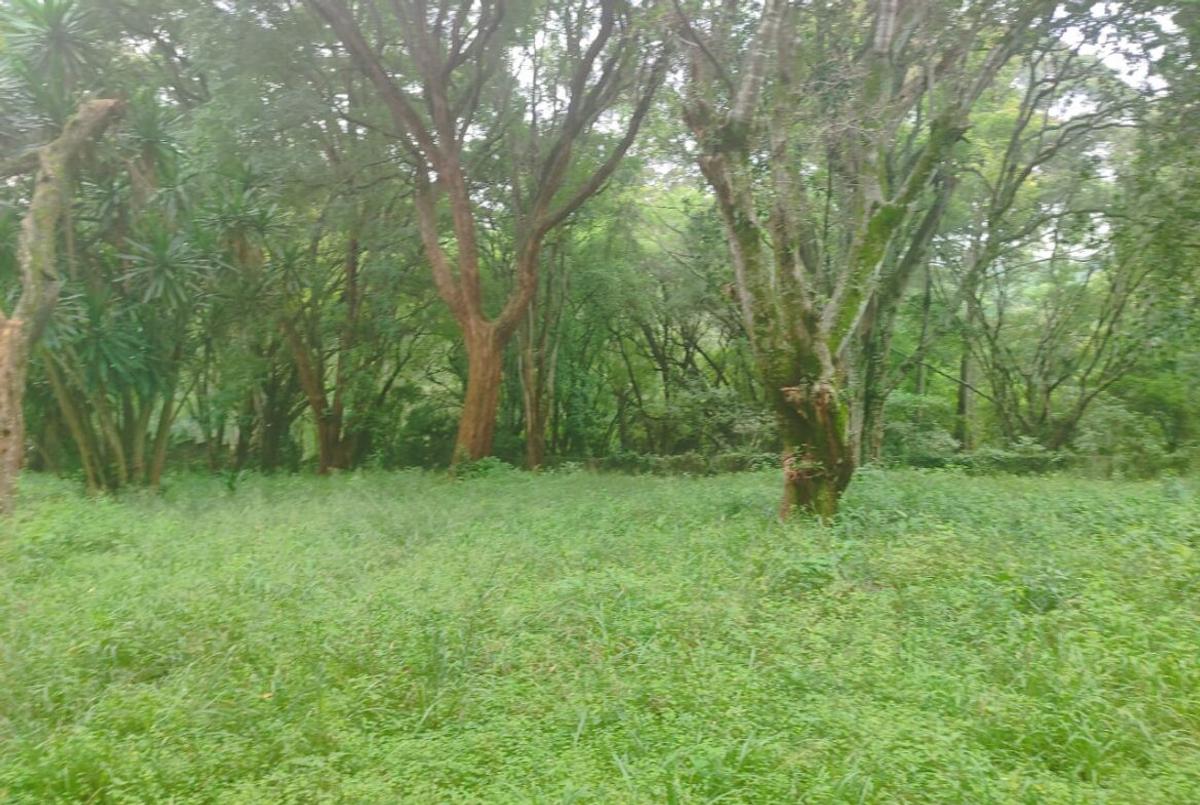 Land at Lower Kabete - 1