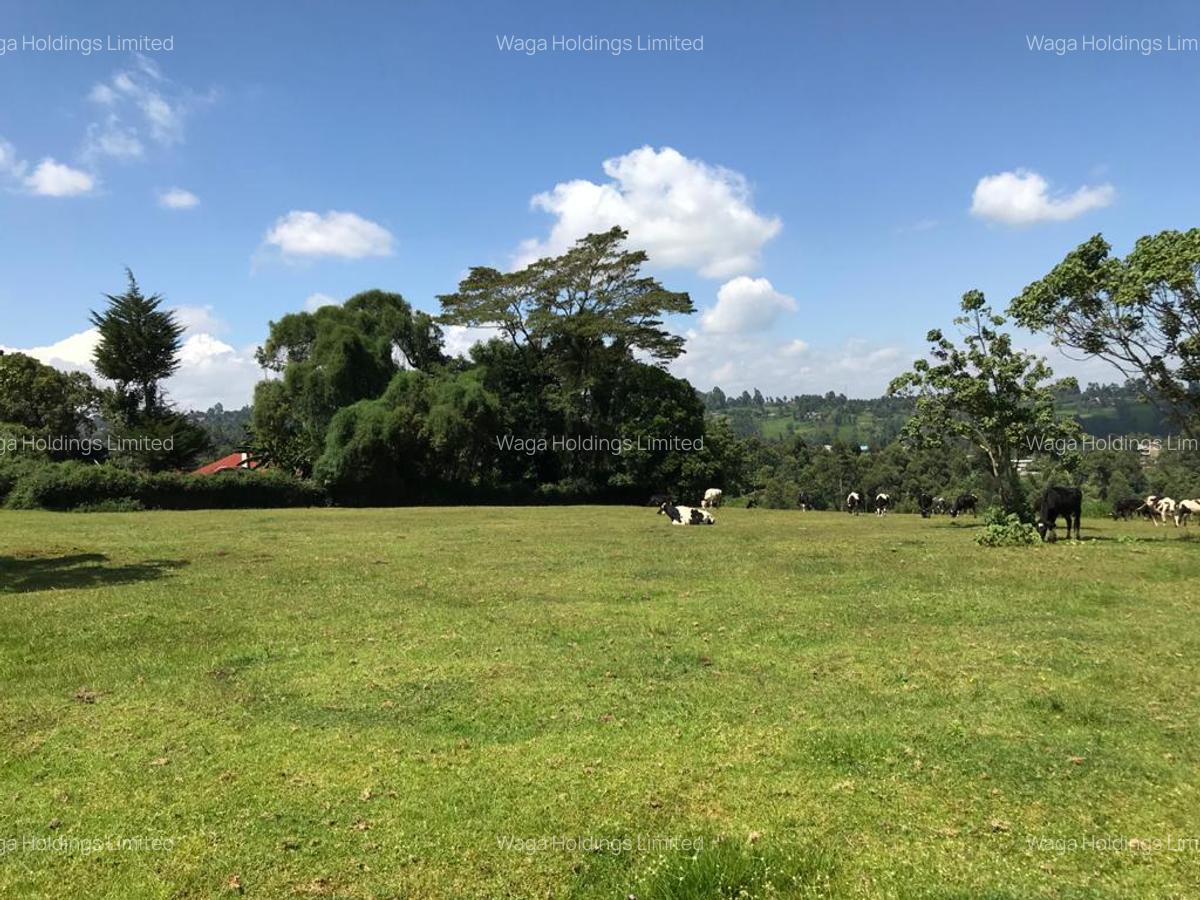 21 ac Land in Cianda - 3