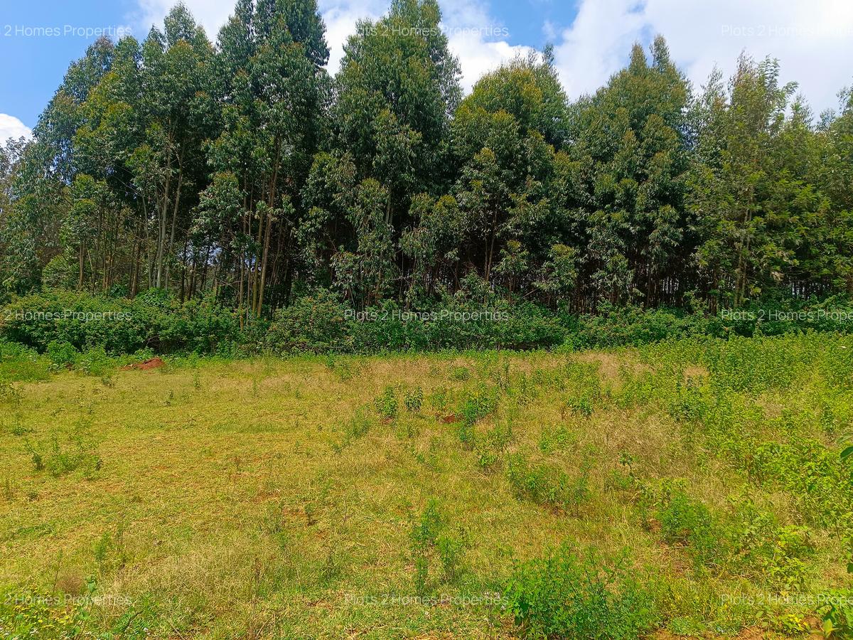 1,000 m² Residential Land at Jambu Tv - 15