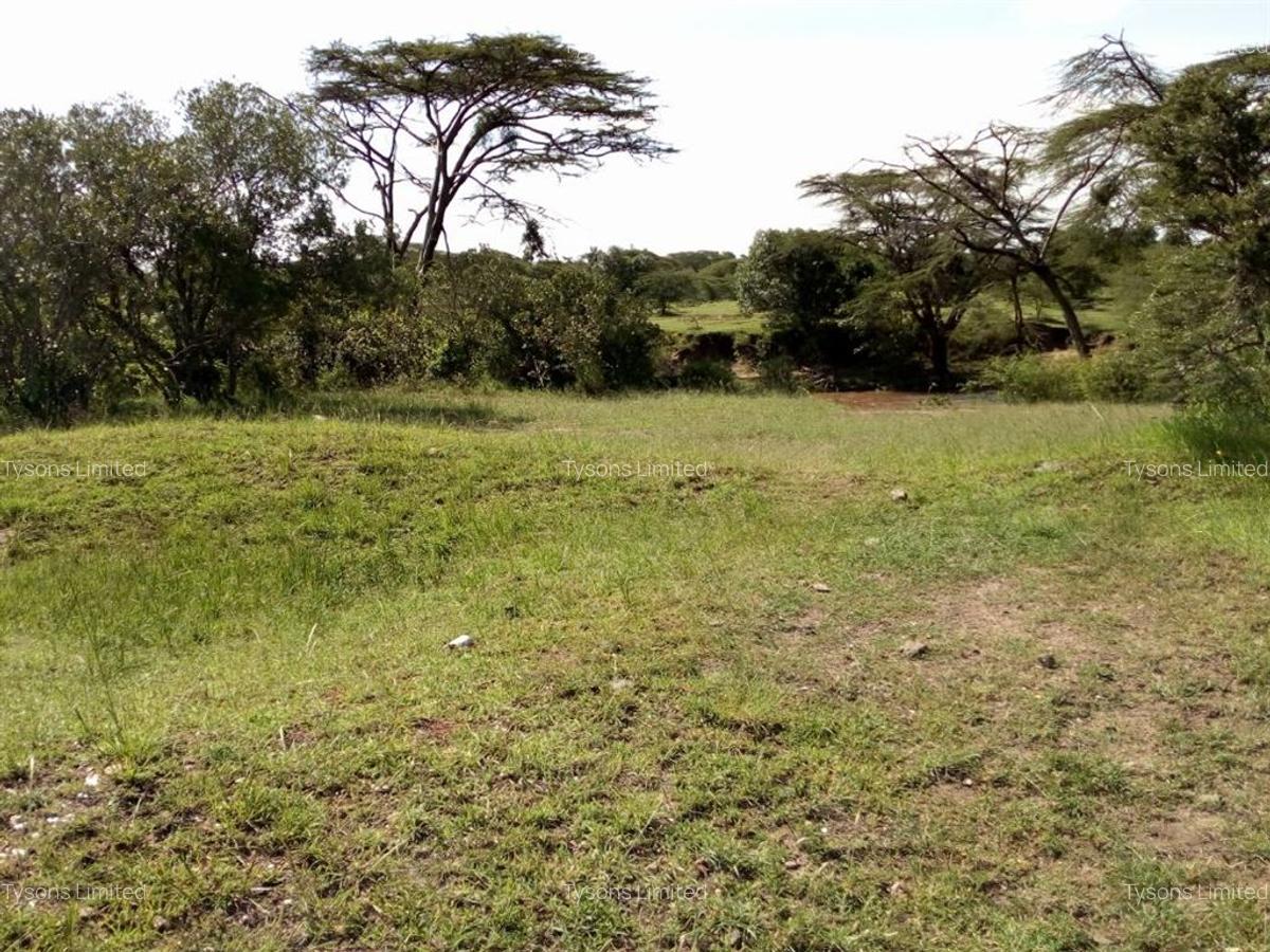 36,423 m² Land in Narok - 1
