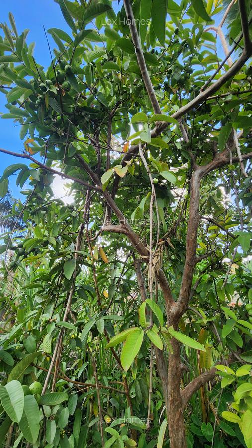 0.444 ac Residential Land at Green Castle - 7