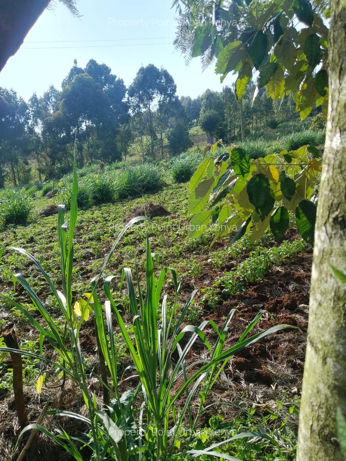 2.5 ac Land at Village (Mbiriri Muthaiga) - 11