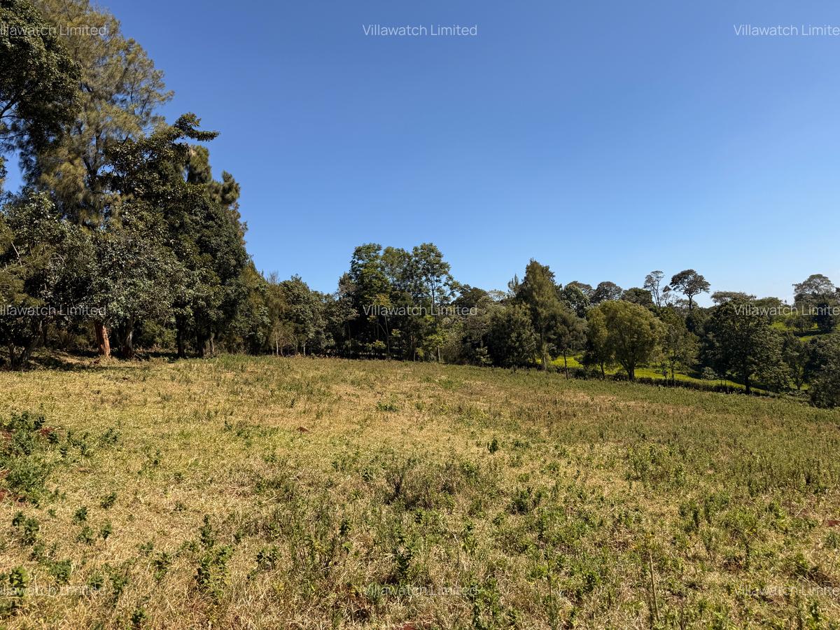 3 Bed House with En Suite in Tigoni - 5