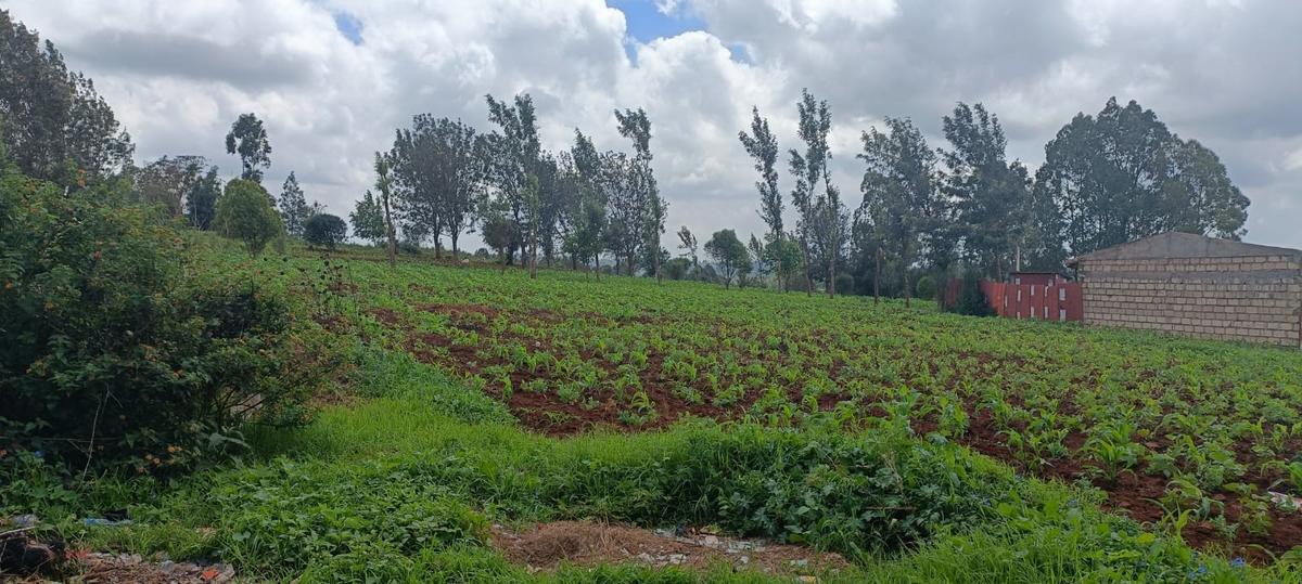 0.05 ha Residential Land at Kikuyu Kamangu Ruthigiti - 2