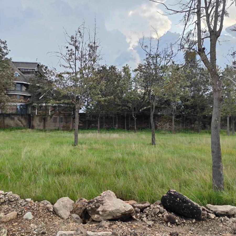 0.5 ac Land at Hillcrest Road - 11