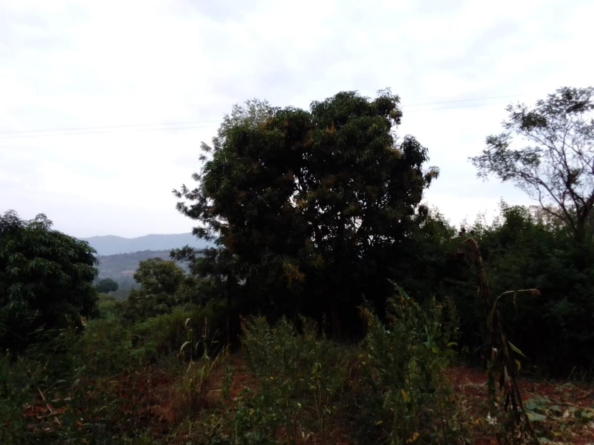 9 ac Land at Ithanga - 18