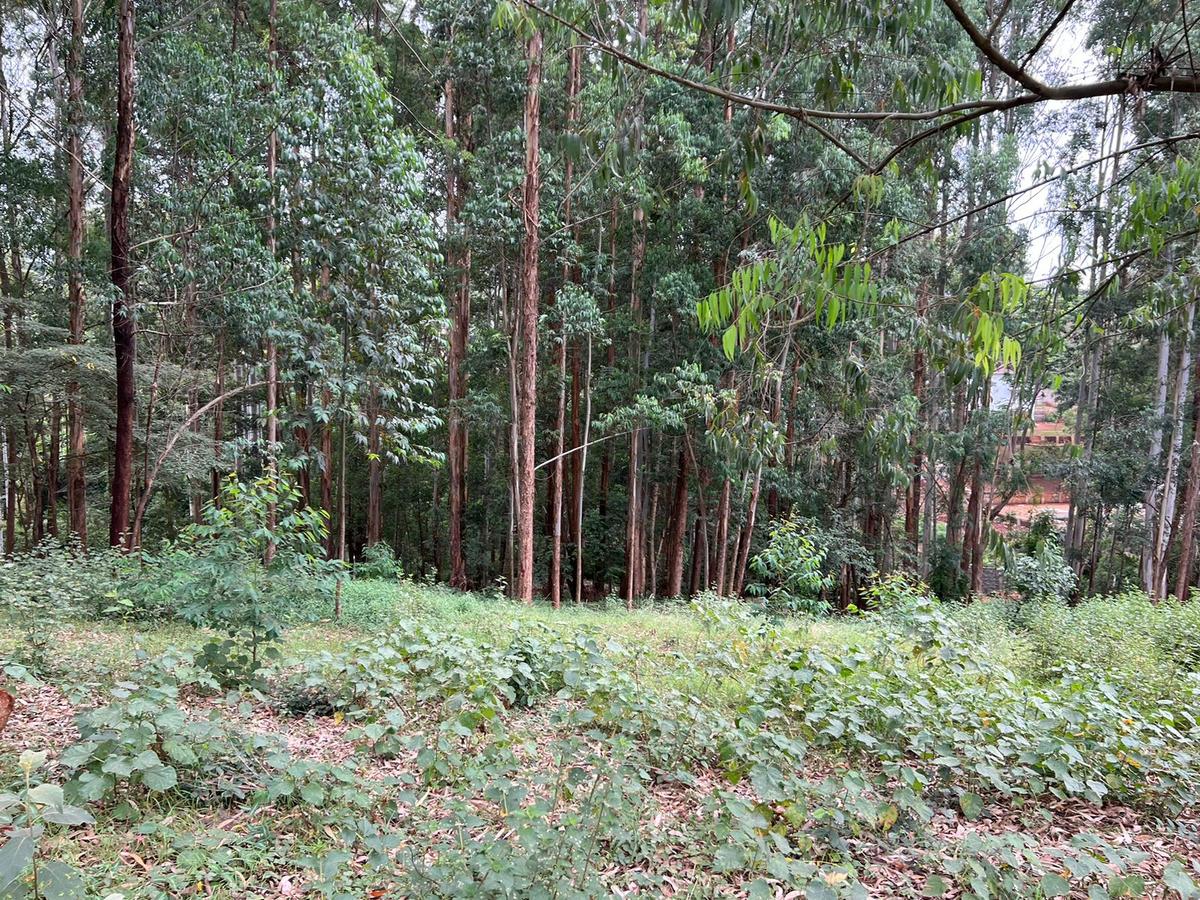 Residential Land at Nyari Estate - 2