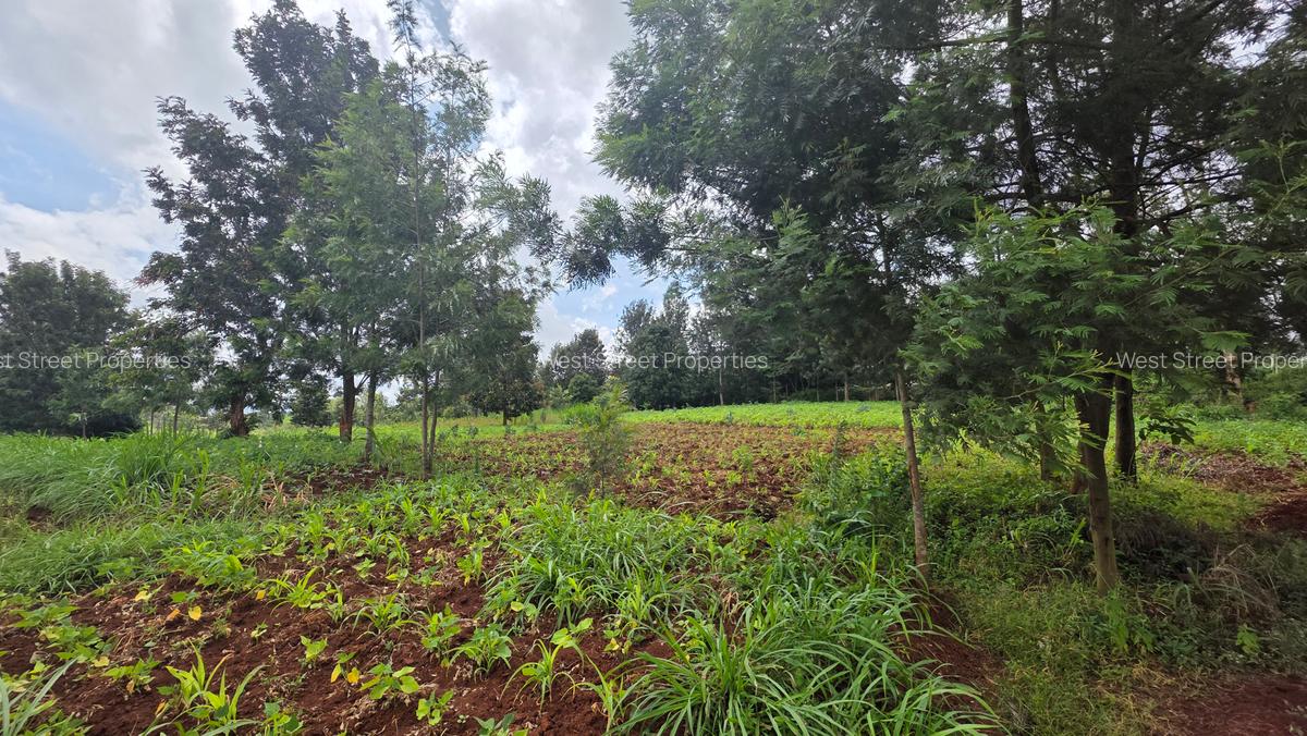 Commercial Property with Service Charge Included at Mutuini Primary - 1