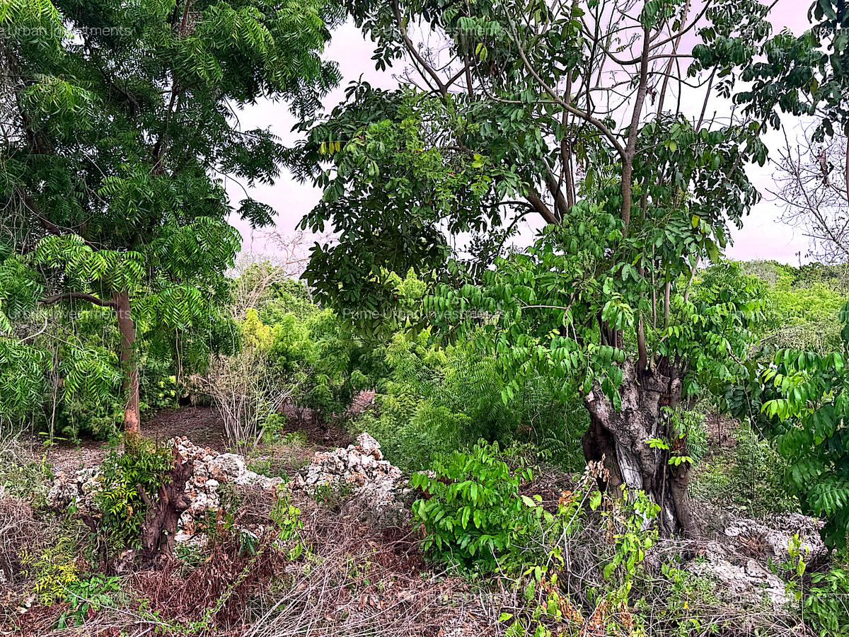 2,010 m² Residential Land at Second Row Kuruwitu Beach - 13