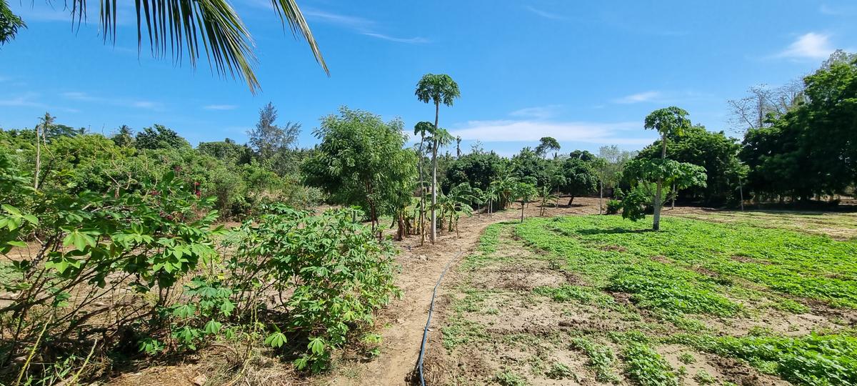 3 ac Land at Mtwapa - 5