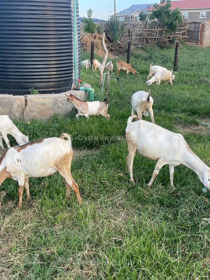 Land in Athi River - 8