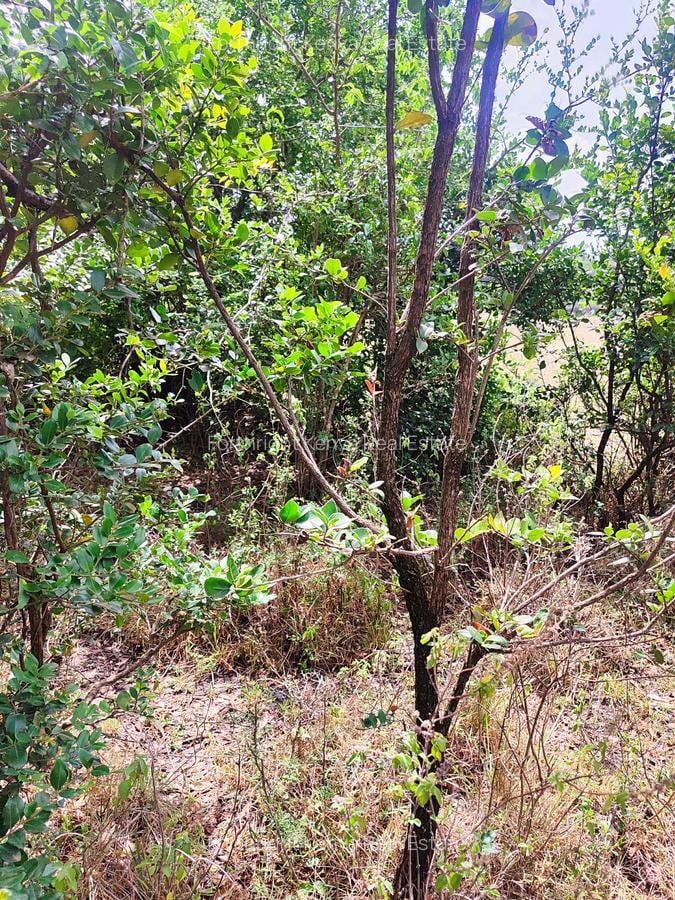 Residential Land at Hardy - 6