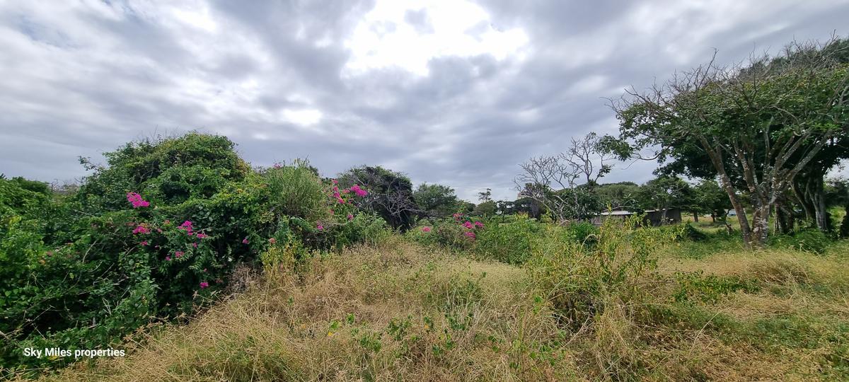 20.5 ac Land at Serena Mombasa - 13