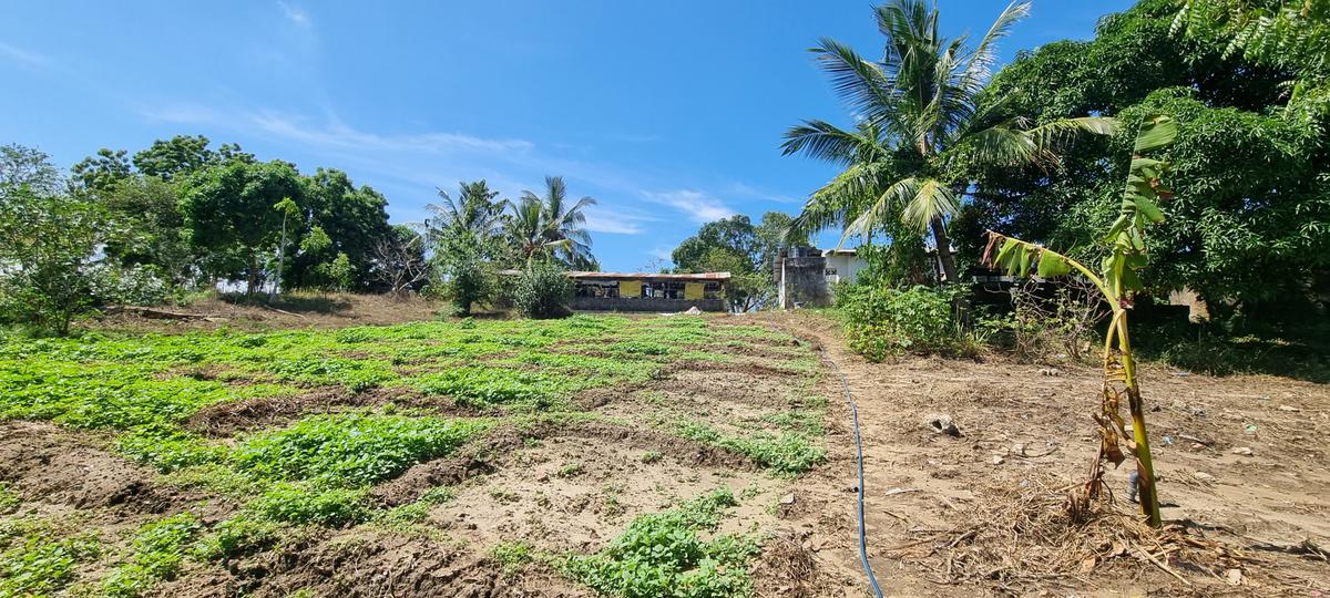 3 ac Land at Mtwapa - 12