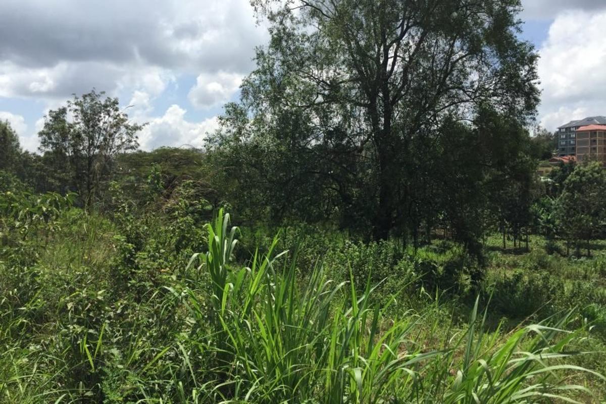 0.5 ac Land at Kiambu Road - 2