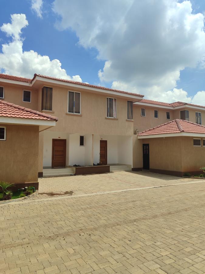 4 Bed House with En Suite at Gataka Road - 19