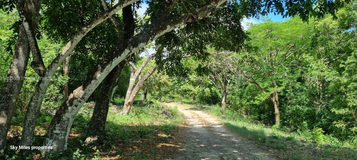 Land in Vipingo - 13