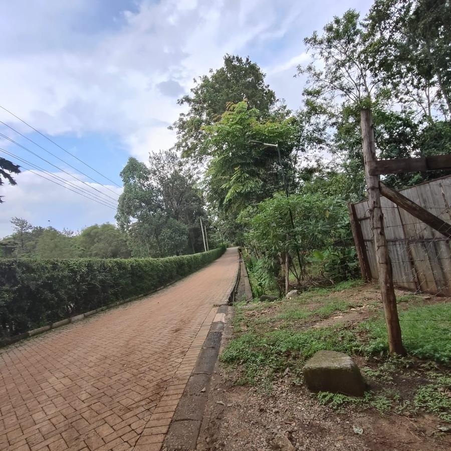 0.5 ac Land at Nandi Road - 16