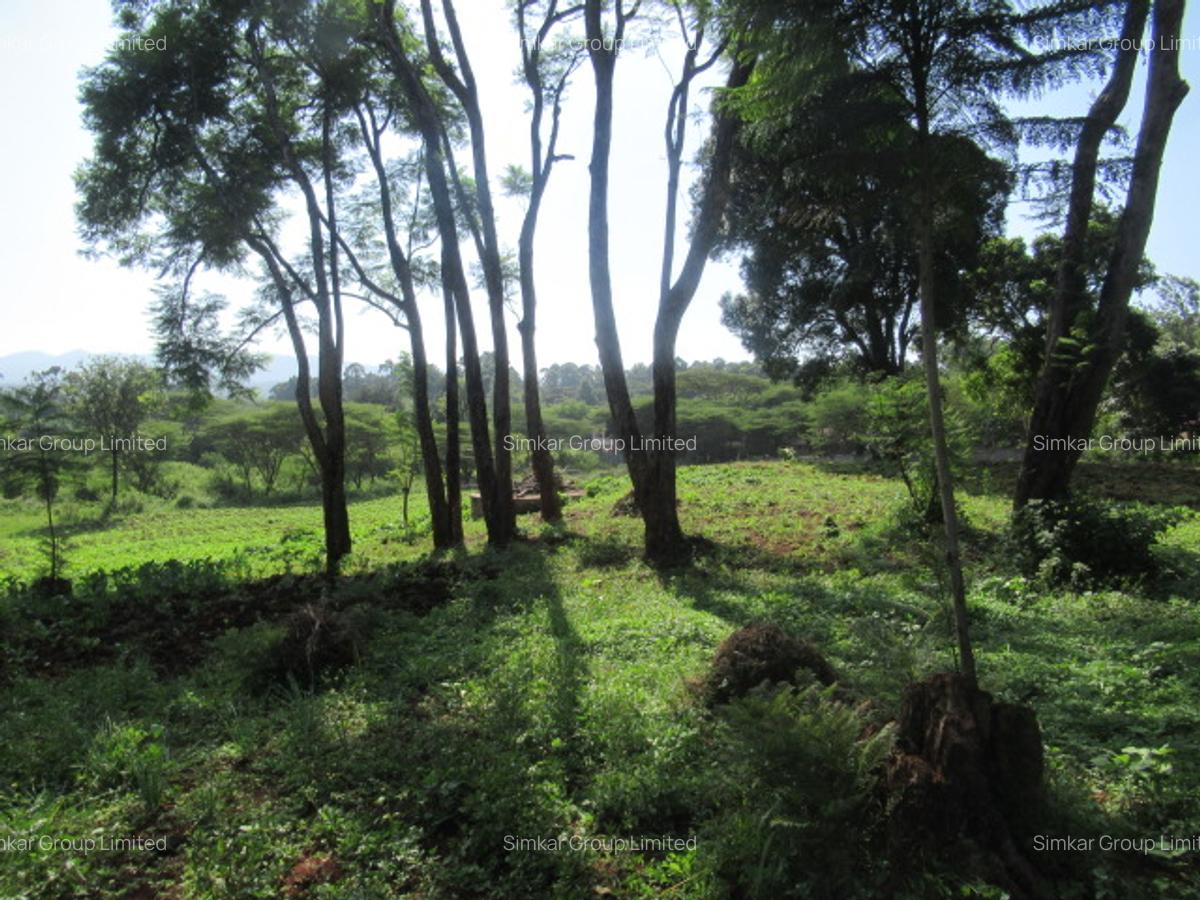 Residential Land at Ololua Ridge - 3